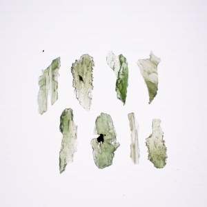 Angel Chime Moldavite New